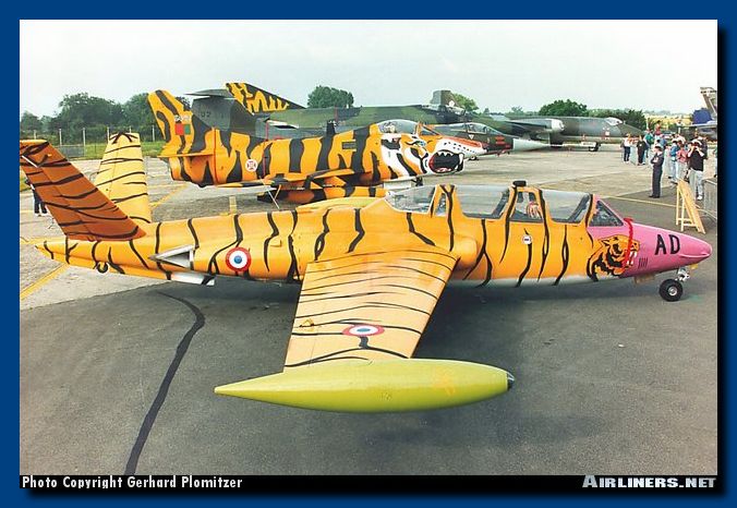foto fouga tigre